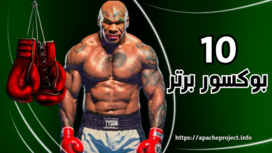 استفاده از تجربه ۱۰ بوکسور برتر جهان برای شرط بندی بوکس حرفه ای - بت مارکت