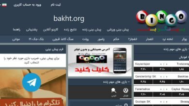 بینگوبت - bingobet