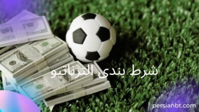 آموزش شرط بندی الترناتیو به زبان ساده برای مبتدی ها