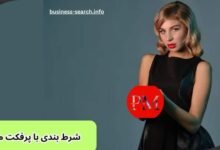 راهنمای شرط بندی با پرفکت مانی | معرفی 5 سایت شرط بندی با perfect money