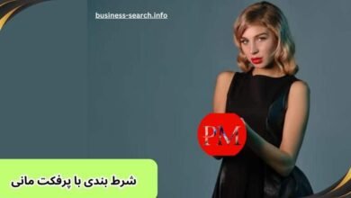 راهنمای شرط بندی با پرفکت مانی | معرفی 5 سایت شرط بندی با perfect money