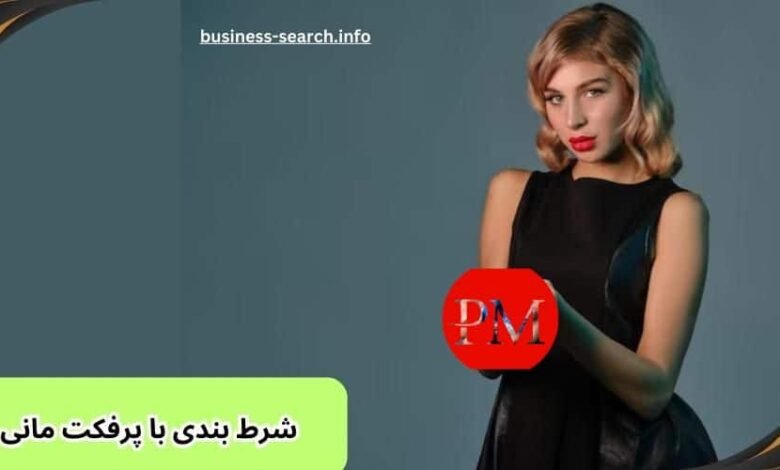 راهنمای شرط بندی با پرفکت مانی | معرفی 5 سایت شرط بندی با perfect money