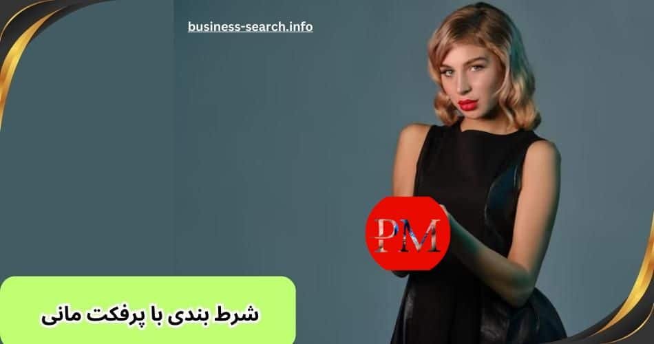 راهنمای شرط بندی با پرفکت مانی | معرفی 5 سایت شرط بندی با perfect money