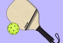 آموزش پیکل بال به همراه بررسی قوانین آن برای شرط بندی