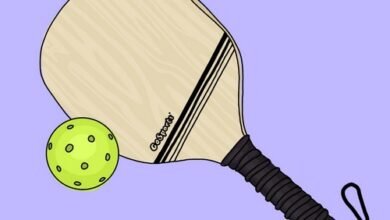 آموزش پیکل بال به همراه بررسی قوانین آن برای شرط بندی