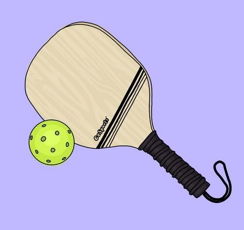 آموزش پیکل بال به همراه بررسی قوانین آن برای شرط بندی