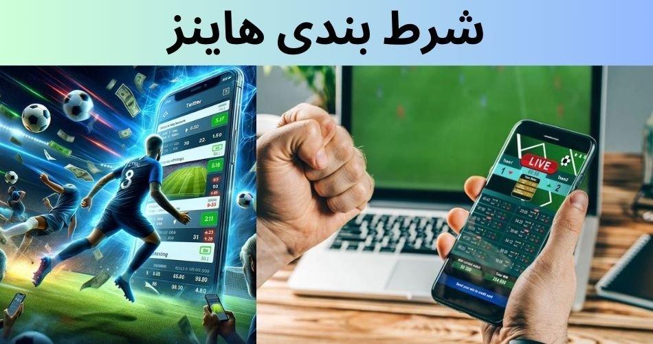 آموزش شرط بندی هاینز به همراه مزایا و معایب آن