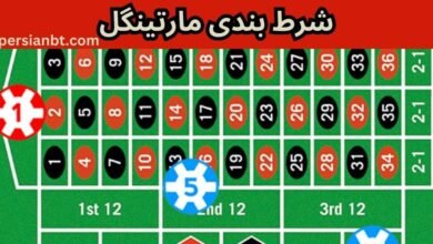 استراتژی مارتینگل چیست؟ استفاده از روش مارتینگل برای برد در شرط بندی