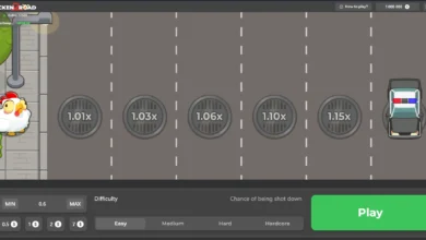 بازی جاده مرغ